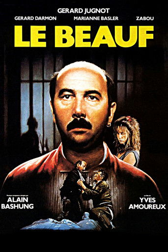 Regarder Le Beauf en streaming complet